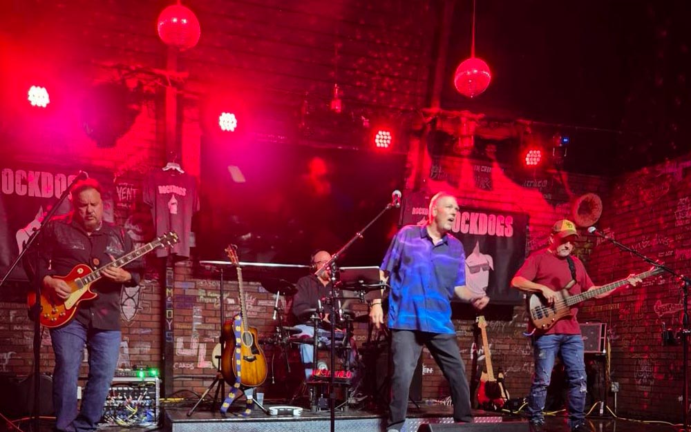 rock dogs band performing image